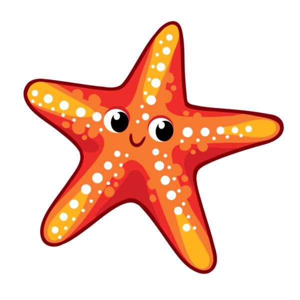 Star Fish - S9 Thumbnail