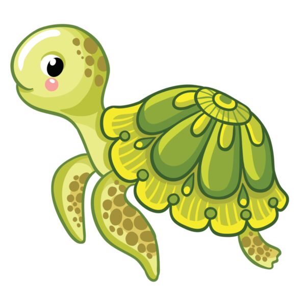 Turtle - S5 Thumbnail