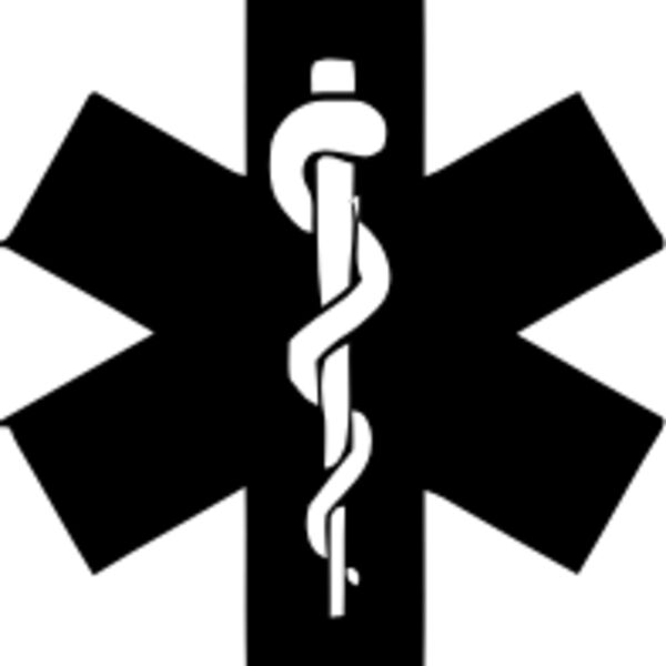 Professional Series - Editable Icons - Ambulance - IC 1 Thumbnail