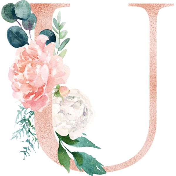 Floral Alphabet, Flowers bouquet composition, Watercolor Letters, Wedding Fonts, Elegant Fonts, Floral Fonts, U Thumbnail