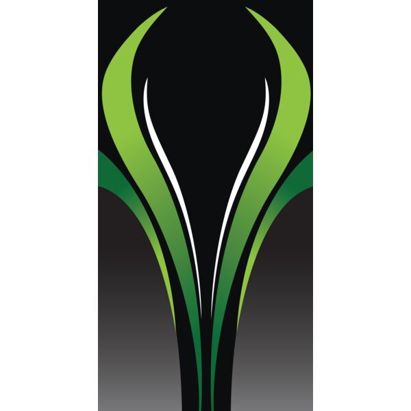 Sublimation, Background, Full Background, Changeable, Gradient, Green and Black, JPEG, Sporty Design, Scarab Pincers Design, Mens Design, Sublimation Printing, Digital Printing, Full Print, Shirts, Mugs, Keychain, Poloshirt, Jacket, Customizable, Personal Thumbnail