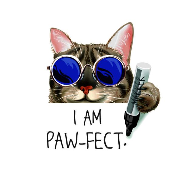 Cat, I Am Paw-fect Statement, Cute Cat Design Shirt - CCD 9 Thumbnail