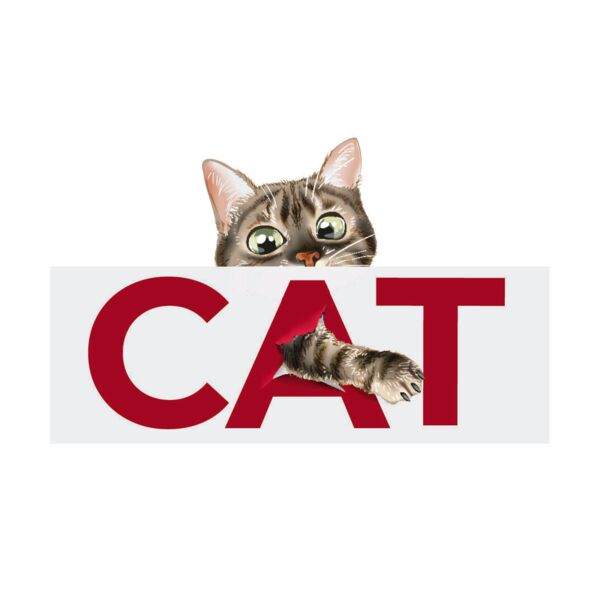 Cat, CAT Statement, Cute Cat Design Shirt - CCD 8 Thumbnail