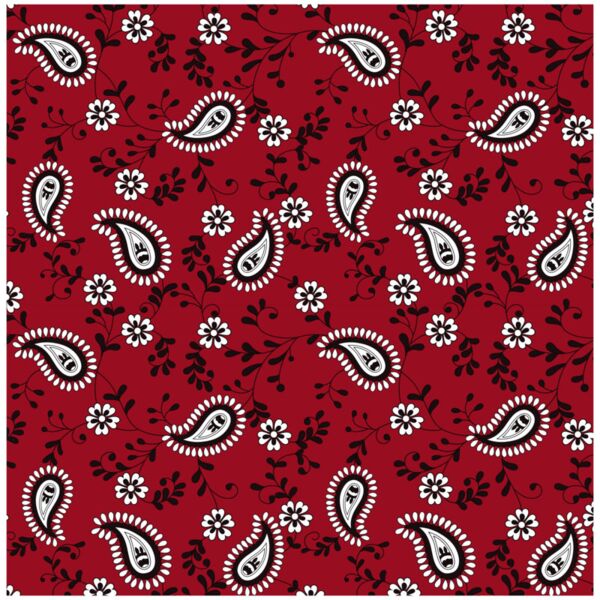Pattern  Ornamental Textile 13  Background Designs with Frame  Paisley Background  PSL 20 Thumbnail