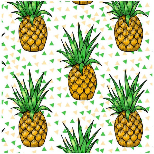 Season  Pineapples  Background Designs with Frame  Summer Background  SMR 2 Thumbnail