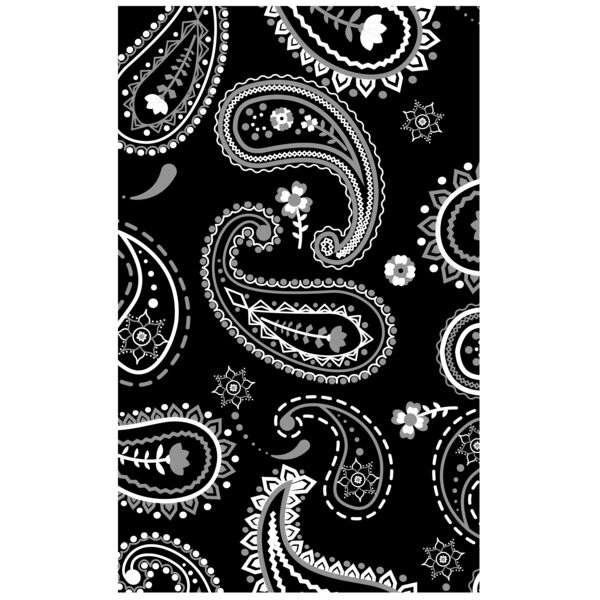 Pattern  Ornamental Textile 20  Background Designs with Frame  Paisley Background  PSL C Thumbnail