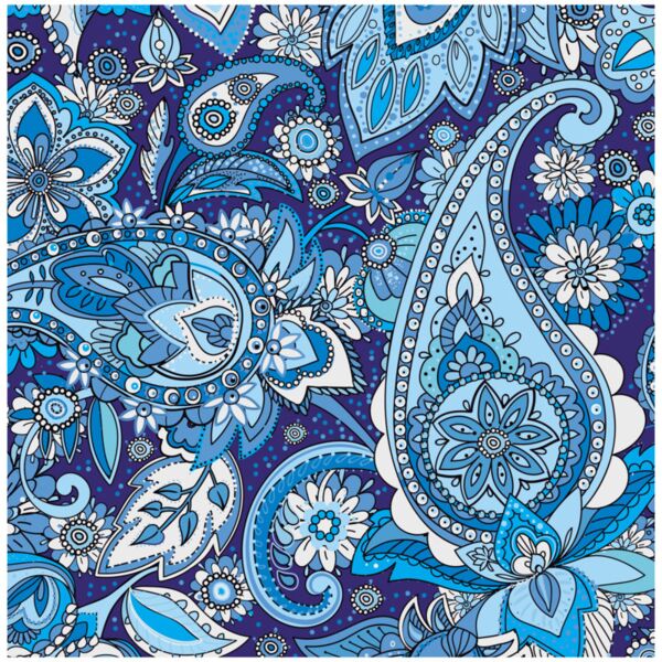 Pattern  Ornamental Textile 12  Background Designs with Frame  Paisley Background  PSL 19 Thumbnail
