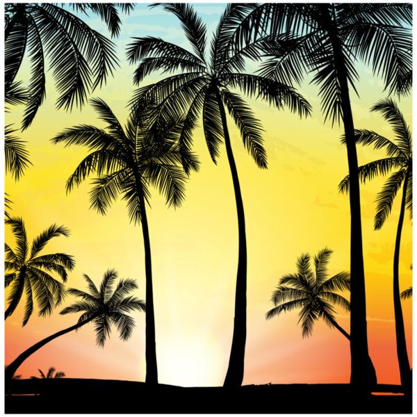 Season  Palm Tree 3  Background Designs with Frame  Summer Background  SMR 17 Thumbnail