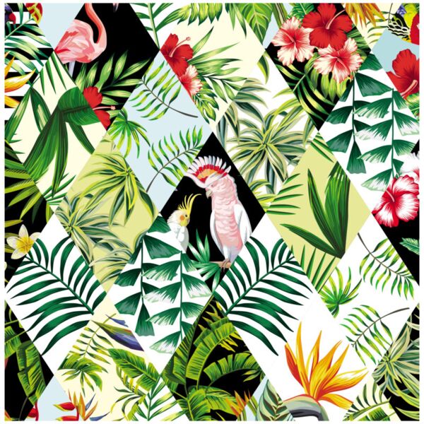 Season  Tropical Plants 2  Background Designs with Frame  Summer Background  SMR 14 Thumbnail