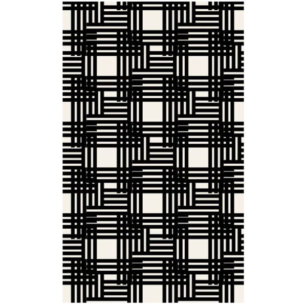 Pattern  Intersecting Diagonal   Vertical Lines  Background Designs with Frame  Black and White Background  BWB 18 Thumbnail