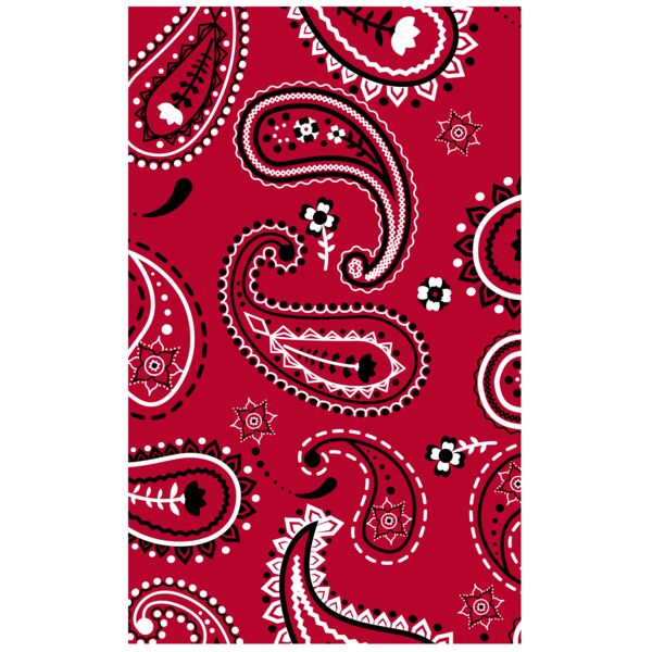 Pattern  Ornamental Textile 18  Background Designs with Frame  Paisley Background  PSL A Thumbnail
