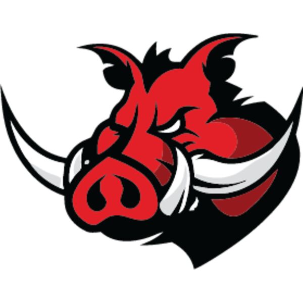 Wild Boar, School Mascot, Sports Logo, Animal Logo, Esports Logo, Changeable Color, Animal Vector Mascot Thumbnail