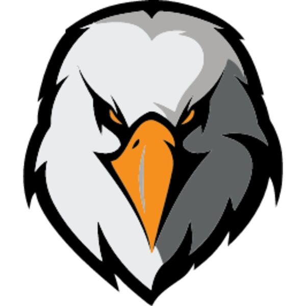 Eagle Front View, School Mascot, Sports Logo, Animal Logo, Esports Logo, Changeable Color, Animal Vector Mascot Thumbnail