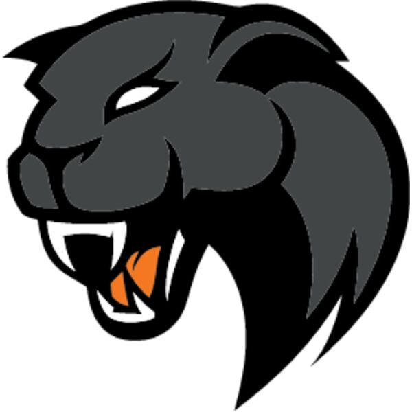 Panther, School Mascot, Sports Logo, Animal Logo, Esports Logo, Changeable Color, Animal Vector Mascot Thumbnail