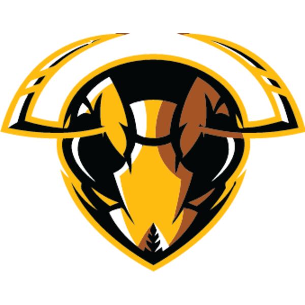 Honey Bee, School Mascot, Sports Logo, Animal Logo, Esports Logo, Changeable Color, Animal Vector Mascot Thumbnail