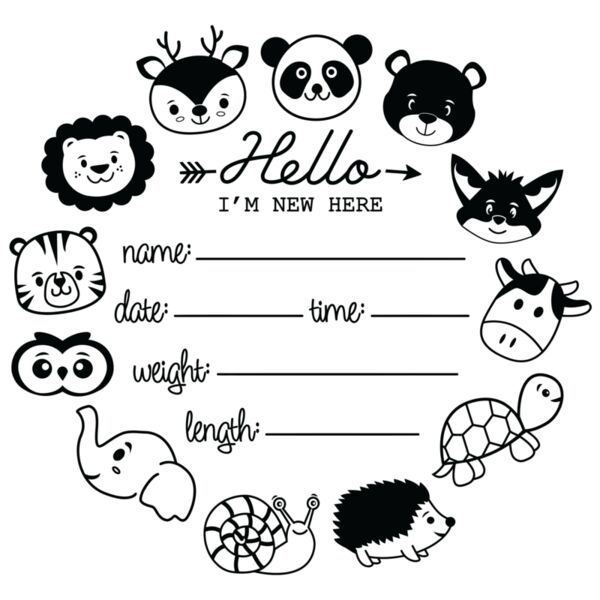 Hello I'm New Here, Baby Information, BABY - BMS-013 Thumbnail