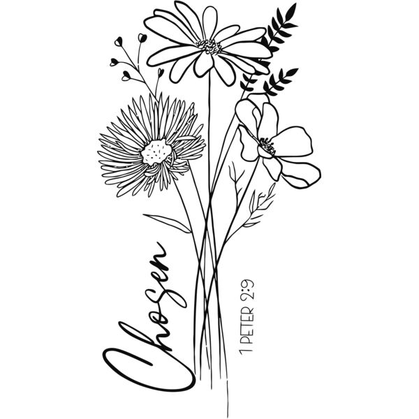 Chosen - CSC-004A Thumbnail