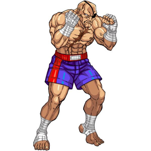 Sagat, Street Fighter - SF-011 Thumbnail
