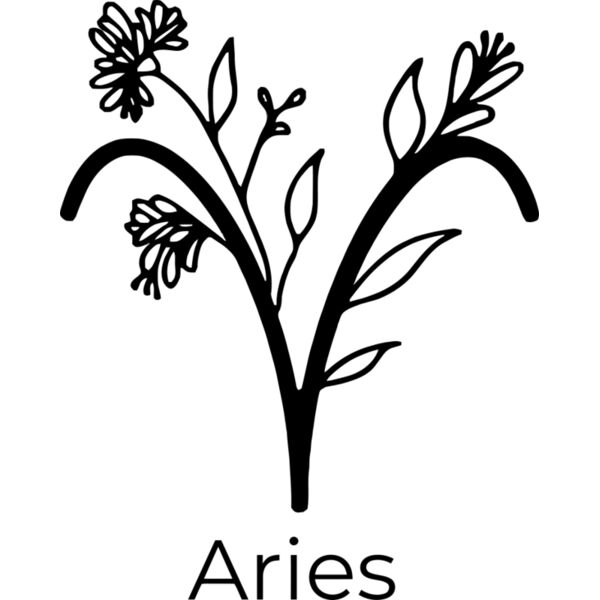 Aries - HSP-01 Thumbnail