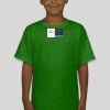 Premium Cotton CVC Roundneck T-shirt (Kids) Thumbnail