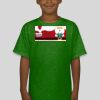 Premium Cotton CVC Roundneck T-shirt (Kids) Premium Cotton CVC Roundneck T-shirt (Kids) Thumbnail